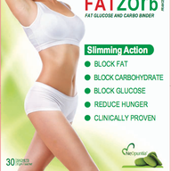 fatzorb.com